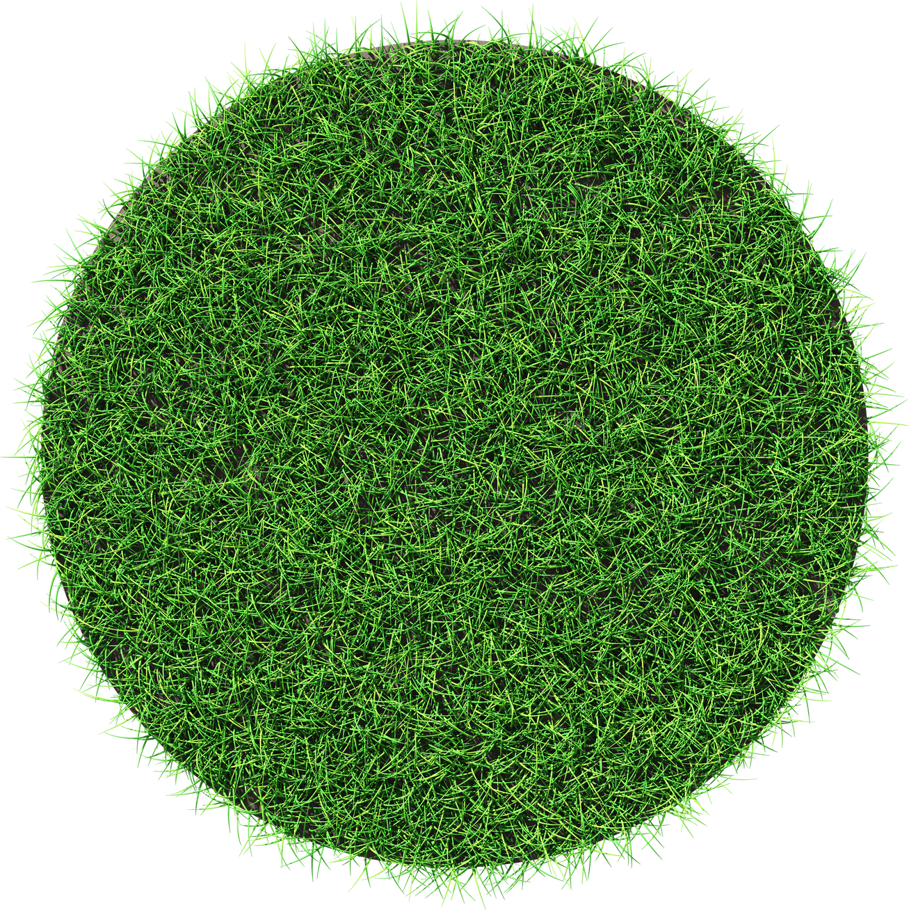 Green Grass Background